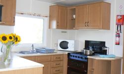 gold-kitchen