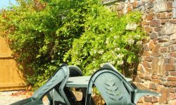 cottage-garden