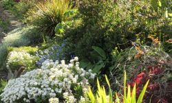Flowerbed By The Play Area