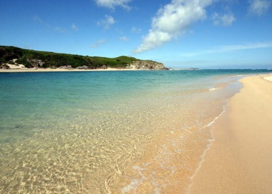 A perfect time to visit Tehidy Holiday Park in Cornwall