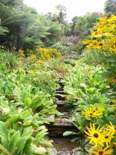 glendurgan gardens 2