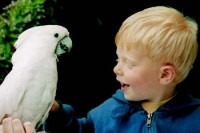 Paradise Park, Cornwall