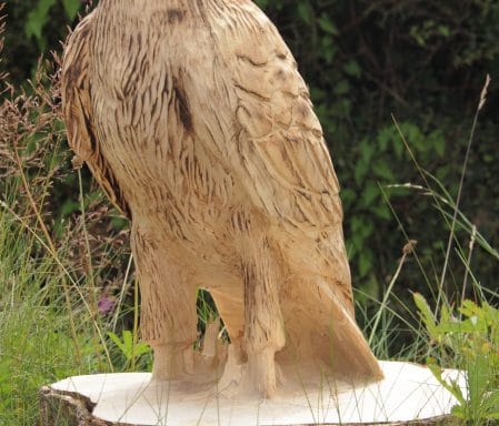 You needn’t be eagle eyed to spot a buzzard