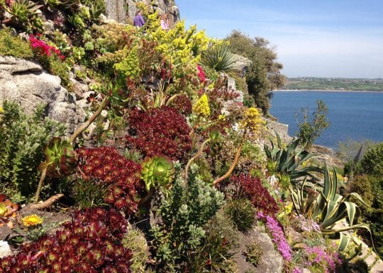 St Michael’s Mount open Sunday for charity