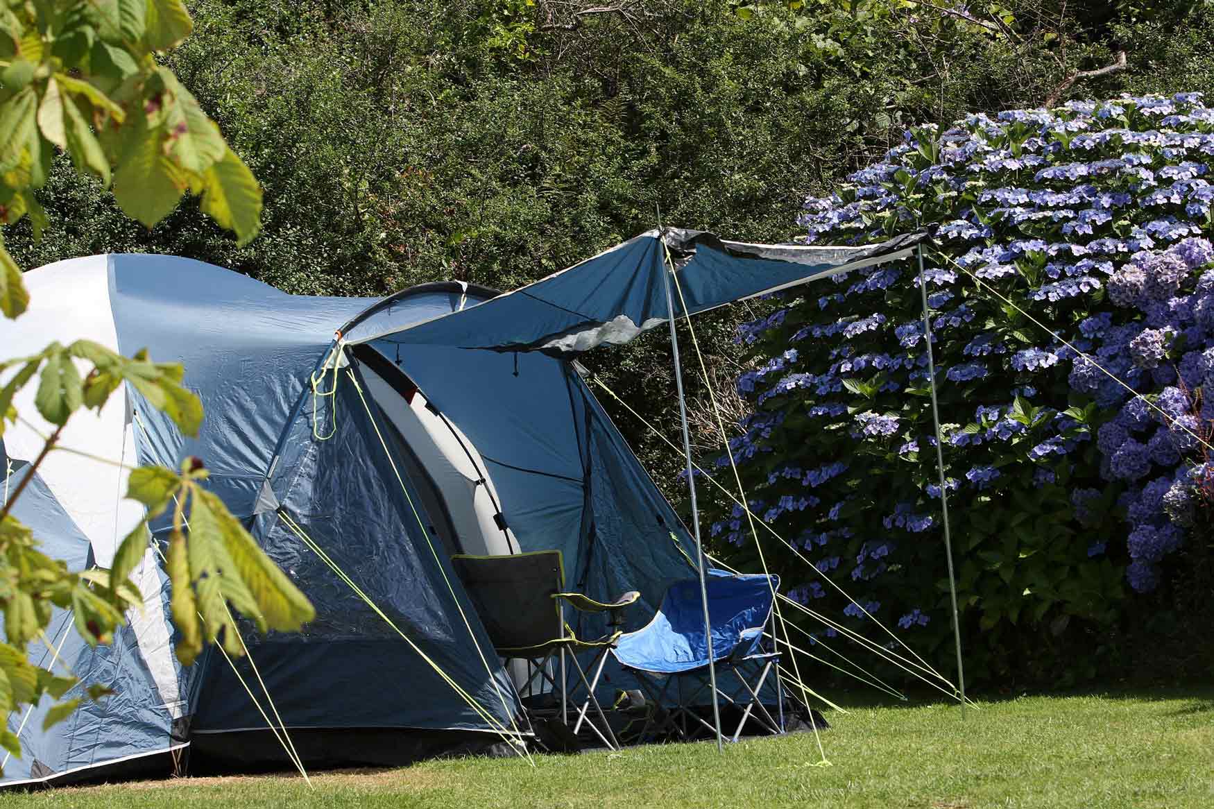Touring & Camping In Cornwall Cornwall Campsites Tehidy