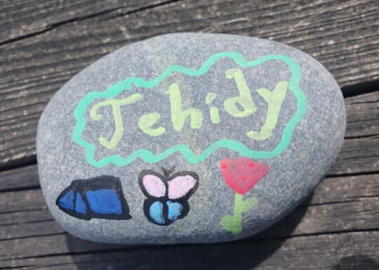 Fabulous Stay – a wonderful review of Tehidy Holiday Park